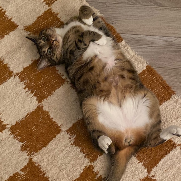 Meet your Posher, Cassandra - Picture 7 of 7